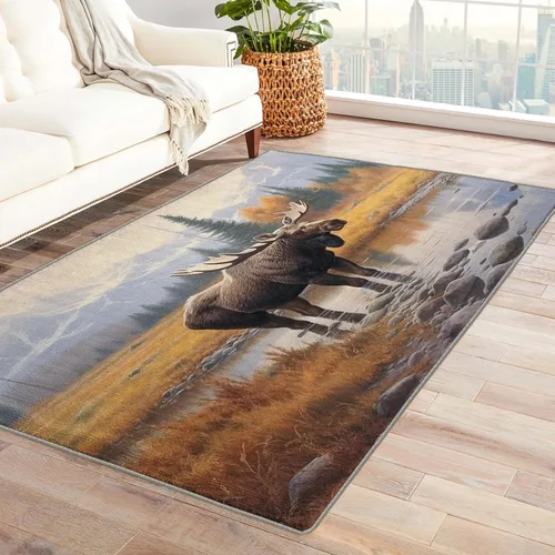 Miniatura 22 de Alfombra retro y decoración del hogar, alfombra lavable de 2 x 3 a 70 segundos, para entrada, sala de estar, dormitorio, tapete antideslizante