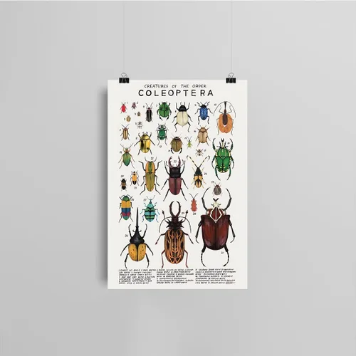 Miniatura 4 de Póster de lienzo de animales para pared, imágenes de animales, guía de coleópteros, insectos, escarabajos, impresiones de conocimiento, estética