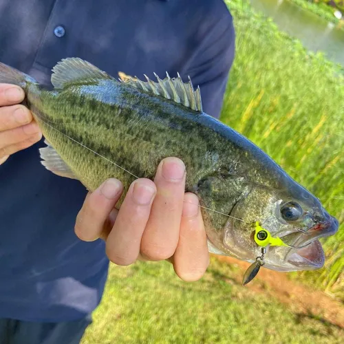 Miniatura 9 de Ganchos de cabeza de plantilla ponderados con cuchillas giratorias Swimbaits - Ganchos de manivela para señuelos de pesca suaves Cabeza de pescado
