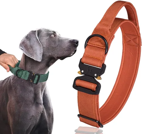 Miniatura 4 de Collar táctico para perro, collar ajustable de nailon para entrenamiento militar con mango de control y hebilla de metal pesado para perros medianos