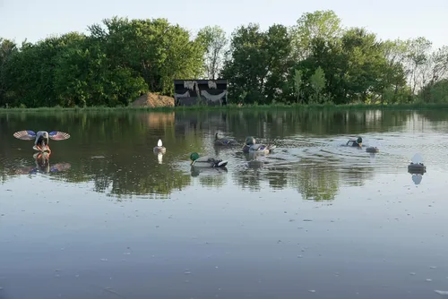 Miniatura 6 de MOJO Outdoors - Premium Waterfowl and Duck Hunting Decoys