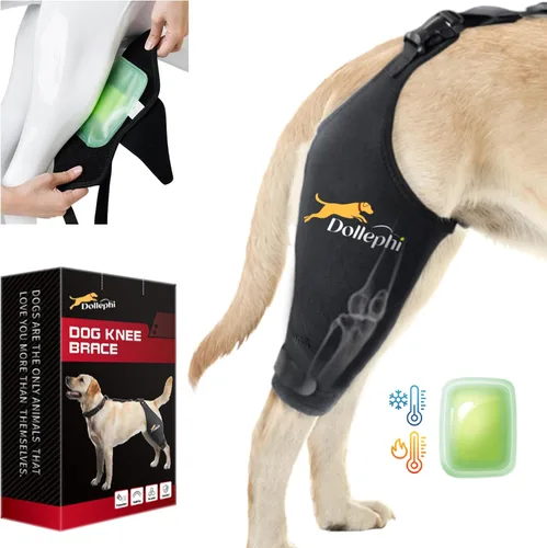 Rodillera para perro para pierna trasera desgarrada del ligamento cruzado anterior, compresión caliente/fría para luxación de rótula u