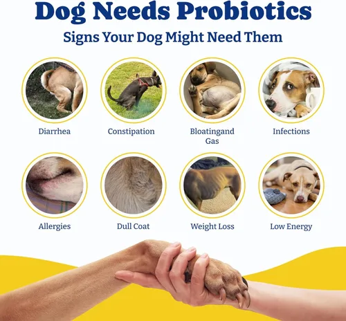 Miniatura 5 de Probióticos para Perros - Probióticos para Perros para la Salud Digestiva, Levadura, Piel Con Picazón, Salud Intestinal, Inmunidad y Piel - 6 Pato