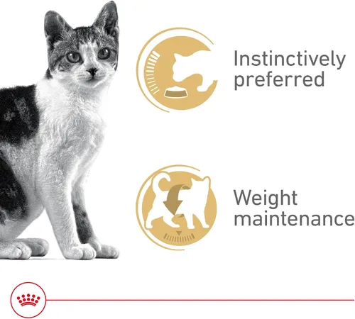 Miniatura 3 de Royal Canin Feline Health Nutrition - Alimento instintivo para adultos, rebanadas finas en salsa para gatos, 3 onzas (paquete de 18)