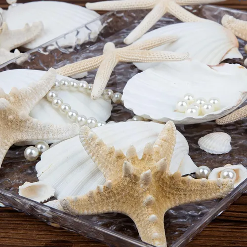 Miniatura 4 de Conchas de mar grandes de 4 a 5 pulgadas, conchas marinas a granel para manualidades y decoración, decoración de boda para fiesta en la playa