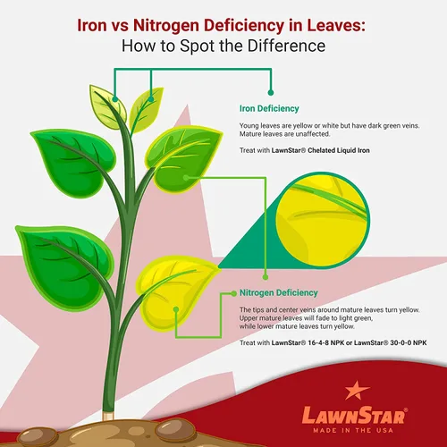 Miniatura 7 de LawnStar Hierro líquido (1 galón) para plantas, multiusos, adecuado para césped, flores, arbustos, árboles, trata la deficiencia de hierro, el daño