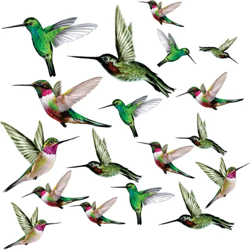 Miniatura 9 de 12 adhesivos para ventanas de colibrí para seguridad de vidrio en ventanas, puertas y paneles transparentes. Calcomanías de ventana para evitar