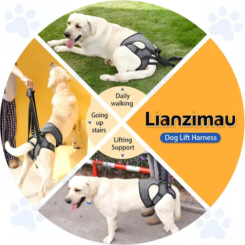 Miniatura 4 de LIANZIMAU Arnés de elevación ajustable para perros grandes, soporte de pierna trasera, soporte de elevación para perros mayores, soporte de Gris