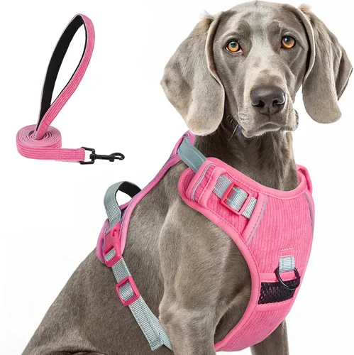 Miniatura 32 de BEAUTYZOO Arnés para perro sin tirones pequeño, juego de arnés y correa ajustable para perro - Fácil de usar con 3 hebillas/mango de control, arnés
