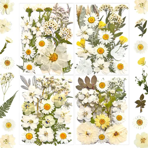 Miniatura 11 de MIKIYA 90 piezas de flores secas prensadas negras para moldes de resina, hojas florales secas a granel naturales reales para manualidades de arte