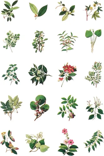 Miniatura 2 de allydrew Calcomanías decorativas para álbumes de recortes, Washi, manualidades para papelería, diario, fabricación de tarjetas (60 piezas), Verde