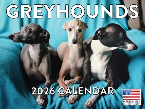 Miniatura 136 de Calendario de pared mensual 2025 Great Dane de 12 meses, fabricado en Estados Unidos