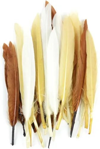 Miniatura 2 de Touch of Nature 38297 - Mini plumas indias para manualidades, 3 pulgadas, mezcla de tierra (24 piezas)