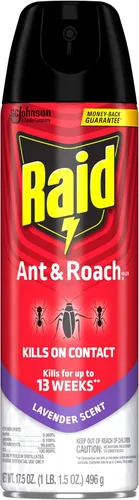 Miniatura 10 de Raid Ant & Roach Killer Spray para insectos listados, sigue matando durante semanas, aroma a lavanda, 17.5 onzas (paquete de 2)