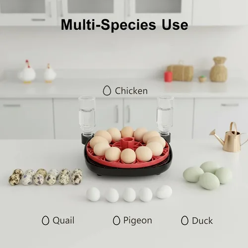Miniatura 8 de Incubadora automática de huevos para 12 huevos de gallina con control de aplicación de cámara, monitor de temperatura y humedad, girador automático