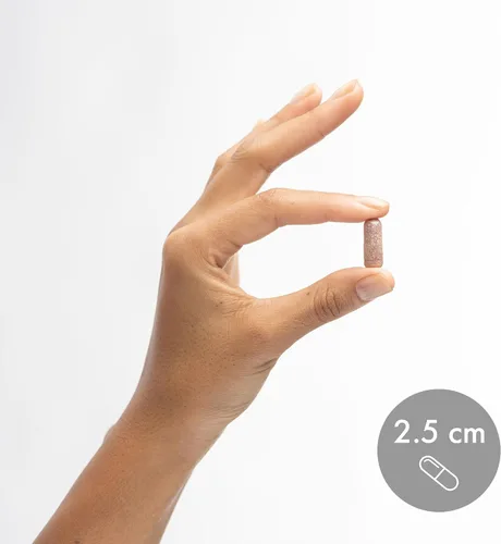 Miniatura 6 de Dr. Mercola D-manosa y extracto de arándano, 1,000 mg de D-manosa y 400 mg de arándano por porción, suplemento para la salud del tracto urinario