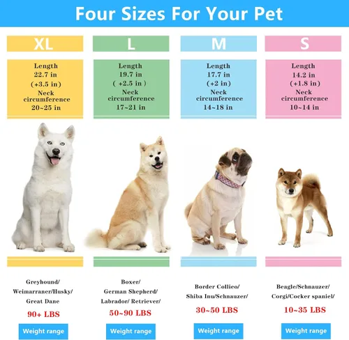 Miniatura 3 de Collar de entrenamiento para perros, collar de martingala para perros grandes, medianos y pequeños