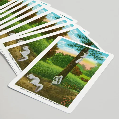 Miniatura 5 de Olney, Illinois, vista del hogar de las ardillas blancas (52 cartas de juego, baraja de cartas de tamaño póquer con comodines)