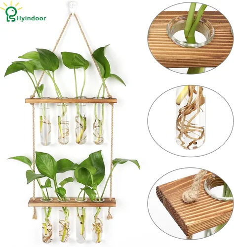 Miniatura 5 de Hyindoor Maceta Colgante de Pared Terrario Jarrón de Vidrio de 2 Niveles con Tubos de Ensayo, Estación de Propagación de Plantas, Colgadores