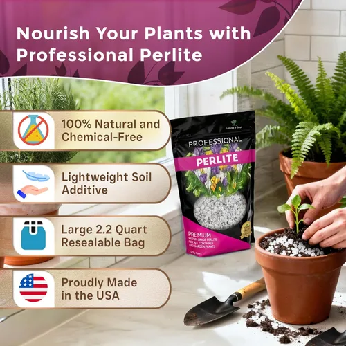 Miniatura 2 de Perlita Profesional Grande 2.2 Cuartos Grado Medio para Plantas de Contenedor y Jardín Aditivo de Suelo Ligero pH Neutro Fabricado en EE.UU