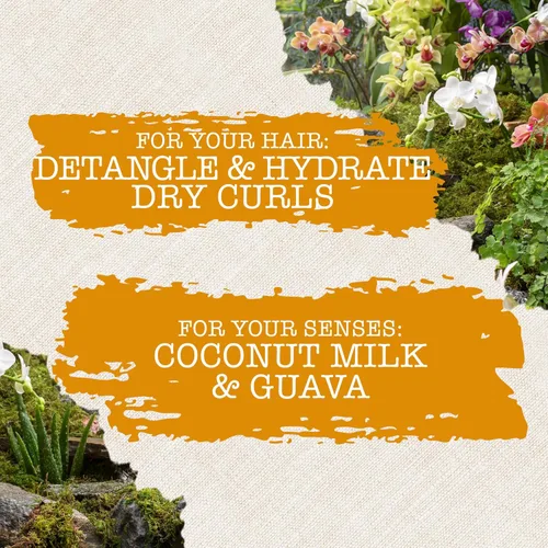 Miniatura 3 de Maui Moisture Acondicionador nutritivo y humectante + leche de coco para hidratar y desenredar el cabello rizado, acondicionador hidratante diario