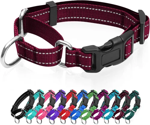 Miniatura 15 de Collares de perro Martingala reflectantes. Collar de perro con hebilla de liberación rápida. Collar ajustable de nailon transpirable acolchado suave