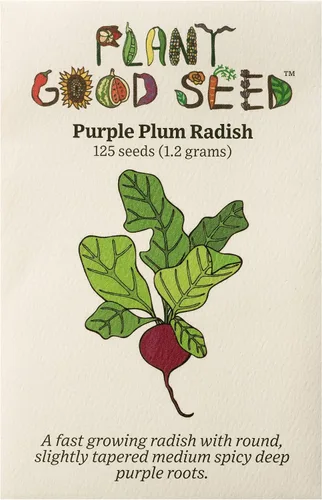 Miniatura 6 de Plant Good Seed Semillas de rábano Organic Pink Beauty – Paquete de 125, semillas tradicionales para plantar verduras – Suministros de jardinería