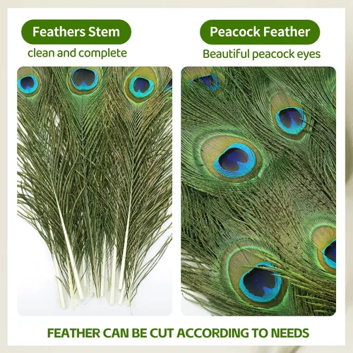 Miniatura 3 de iHUFeather 10 plumas naturales de ojo de pavo real de 10 a 12 pulgadas para arreglos florales, bodas, hogar y decoración de fiestas, natural