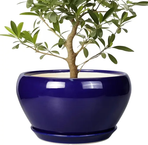 Miniatura 58 de Maceta de Cerámica Moderna con Esmalte para Suculentas con Agujero de Drenaje y Platillo, Maceta Redonda de 6 Pulgadas para Plantas de Flores