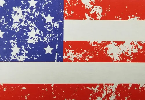 Miniatura 4 de ICE N COLD Paquete de 6 bolsas de cartón (bandera americana, 150 unidades) Capacidad para 6 botellas de 12 onzas Envío rápido el mismo día