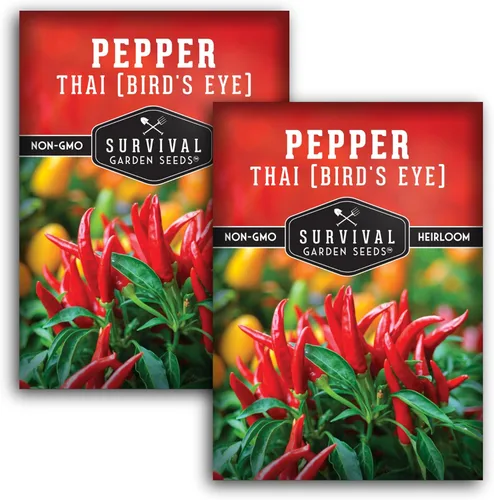 Miniatura 10 de Semillas de chile tailandés para plantar Pimientos picantes de ojo de pájaro – Chile picante sin OMG para cocina picante y jardines
