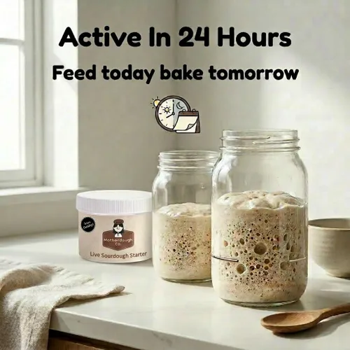 Miniatura 5 de Motherdough Co. - Iniciador de masa madre - Cultivo iniciador de masa agria antigua y madura viva, fresca y activa, el mejor iniciador de pan
