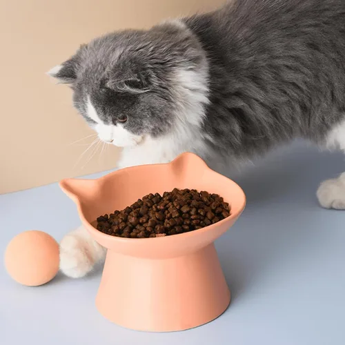 Miniatura 8 de Cuencos elevados de cerámica para gatos, platos de agua elevados para gatos de interior, perros pequeños, cuencos de cerámica de 12 onzas, poco