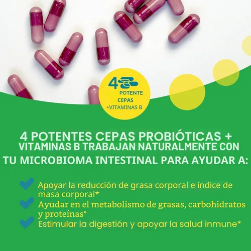 Miniatura 3 de Culturelle Metabolismo + Control de peso con cápsulas probióticas SlimBiotics® – 30 unidades – Ayuda a controlar el peso de manera segura - Promueve