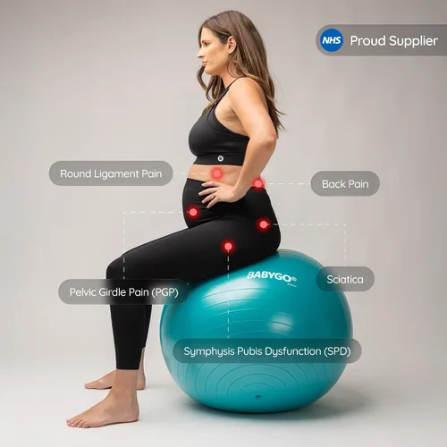 Miniatura 3 de BABYGO® Birthing Ball for Pregnancy Maternity Labour & Yoga + Our 100 Page Pregnancy Book, Exercise, Birth & Recovery Plan, Anti-Burst Eco Friendly