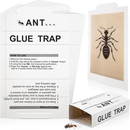 Qualirey Trampas para hormigas para interiores, con aroma a mantequilla de maní mejorada, 10 piezas más grandes para hormigas, araña, ciempiés para