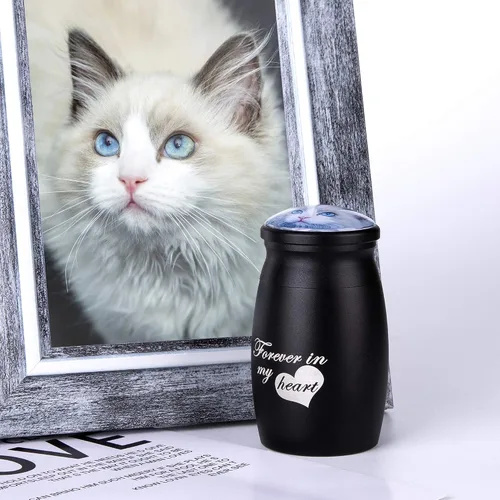 Miniatura 7 de Bivei Urnas pequeñas para cenizas humanas, urna personalizada de recuerdo con foto y texto para hombres y mujeres, mini urnas para adultos