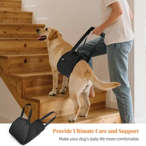 Miniatura 2 de Petanims Arnés de elevación para perros con asa para perros grandes, soporte de pierna trasera, adecuado para perros discapacitados o lesionados