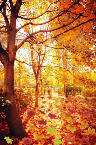 Miniatura 5 de SITUMEIZI 300 piezas de decoración de otoño para el hogar, hojas falsas de otoño, hojas de arce artificiales, 3.15 pulgadas, decoración de otoño 6