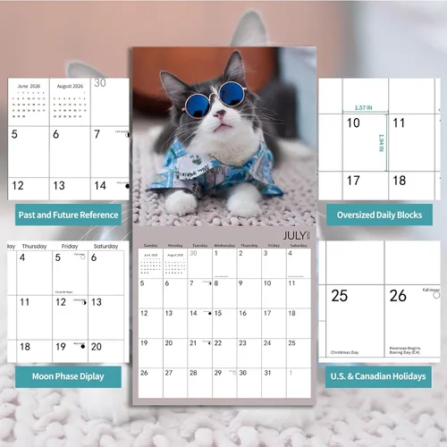 Calendario de pared 2026, calendario 2025-2026, calendario mensual de pared Cool Cat, 12 x 24 pulgadas abierto, calendario planificador familiar,