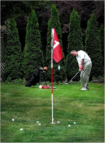 Miniatura 2 de ProActive Sports Poste de acero para bandera de patio trasero y copa de golf
