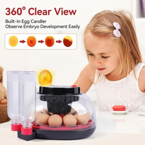 Miniatura 5 de Incubadoras de 12 huevos para incubar huevos, incubadora de huevos de pollo con giro automático de huevos y control de temperatura y humedad, tapa