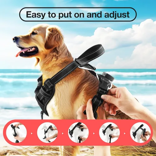 Miniatura 6 de MASBRILL Arnés para perro con luz LED, sin tirones, recargable y ajustable, para perros pequeños, medianos y grandes Negro-rojo