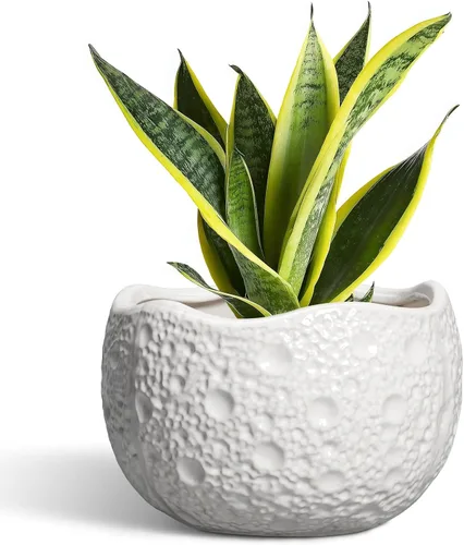 Miniatura 34 de Macetas de Cerámica Thirtypot - Maceta de 4 Pulgadas con Agujero de Drenaje, Macetas Pequeñas para Plantas de Interior y Exterior, Maceta Redonda