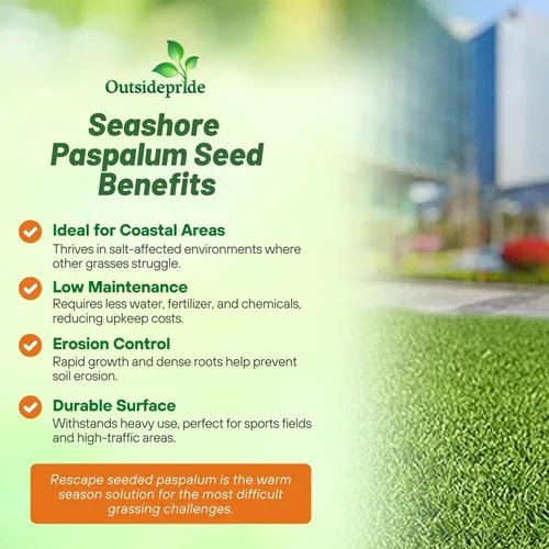 Miniatura 2 de Outsidepride Rescape Seashore Paspalum - Semilla de césped – 1 libra de temporada cálida, tolerante a la sal y la sequía, semillas de césped densas