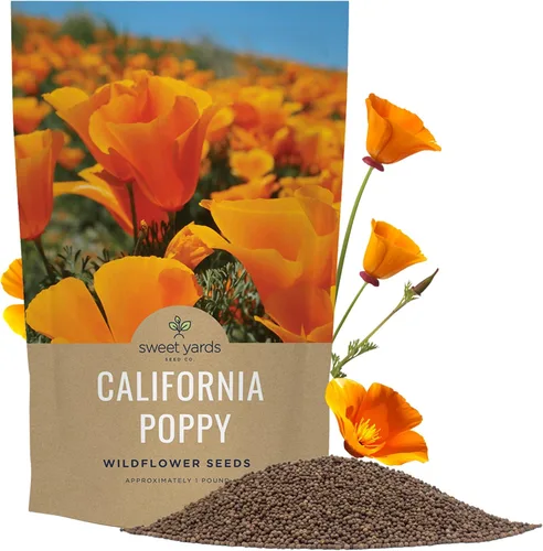Miniatura 15 de Semillas de flores silvestres de amapola naranja de California, paquete a granel de 1 onza, más de 20,000 semillas nativas, flor del estado