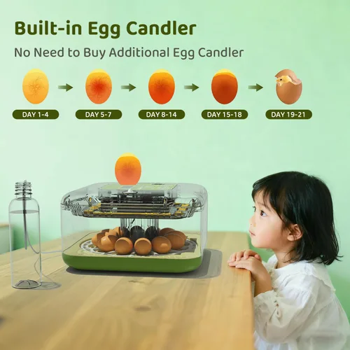 Miniatura 2 de Ovatt Incubadora de 12 huevos con pantalla LED, control automático de temperatura y humedad, y girador automático de huevos para huevos de pollo