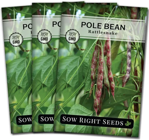 Miniatura 8 de Sow Right Seeds - Semillas de frijol de serpiente de cascabel para plantar - Paquete de reliquia sin OMG con instrucciones para plantar un huerto