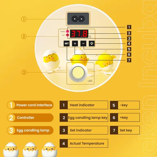 Miniatura 7 de 18 incubadoras de huevos para incubar huevos, volteador automático de huevos y probador de velas de huevos, vista de 360 grados, incubadora