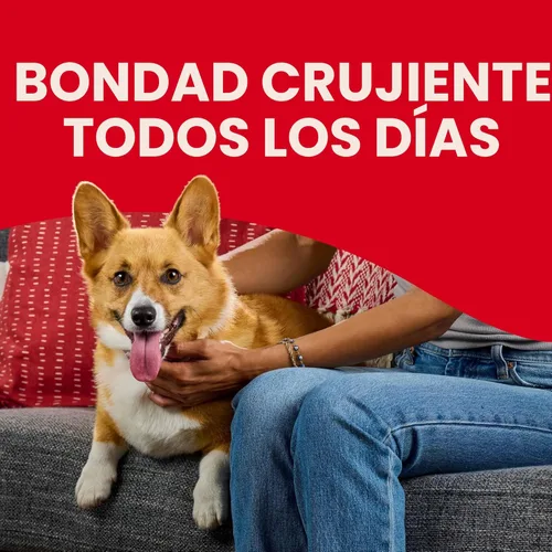 Miniatura 4 de Milk-Bone Mini's Flavor Snacks - Golosinas para perros, paquetes de recambio de 35 onzas (paquete de 2) textura crujiente que ayuda a reducir